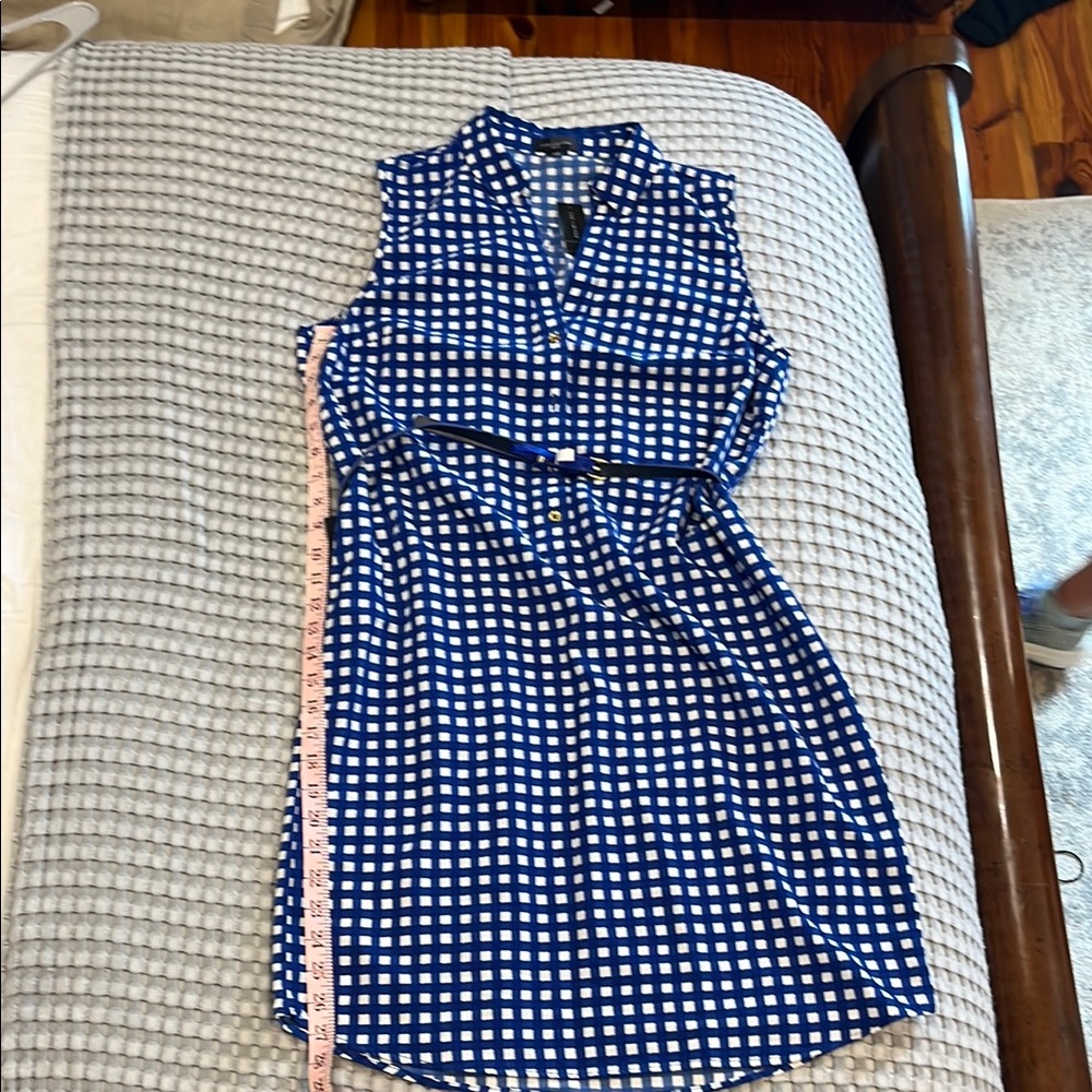 The Limited Blue and White Checkered Dress